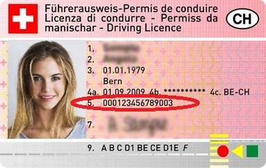Beispiel eines Führerscheins